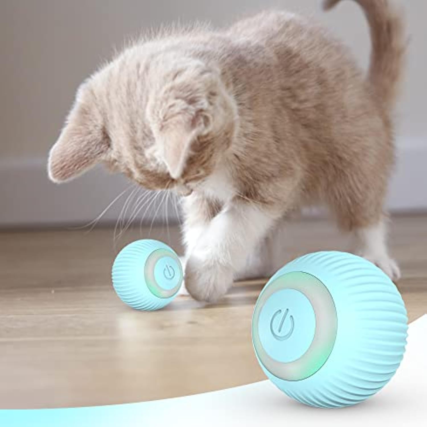 Chat joue avec balle rotative rechargeable par USB