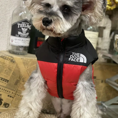 Gilet d'hiver pour chien rembourré CASPER&CO