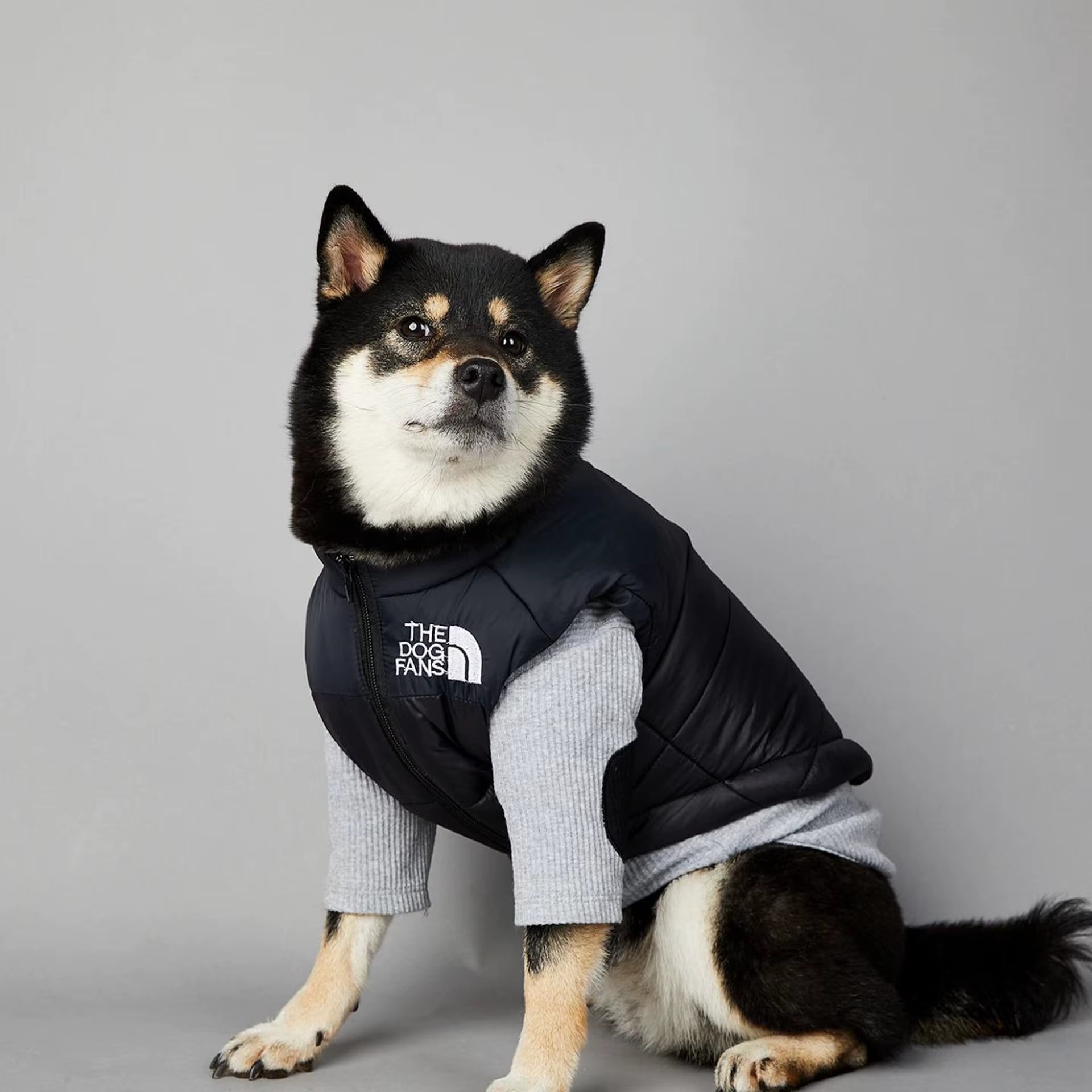Gilet rembourré pour chien