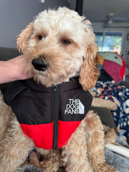 Gilet d'hiver pour chien rembourré CASPER&CO