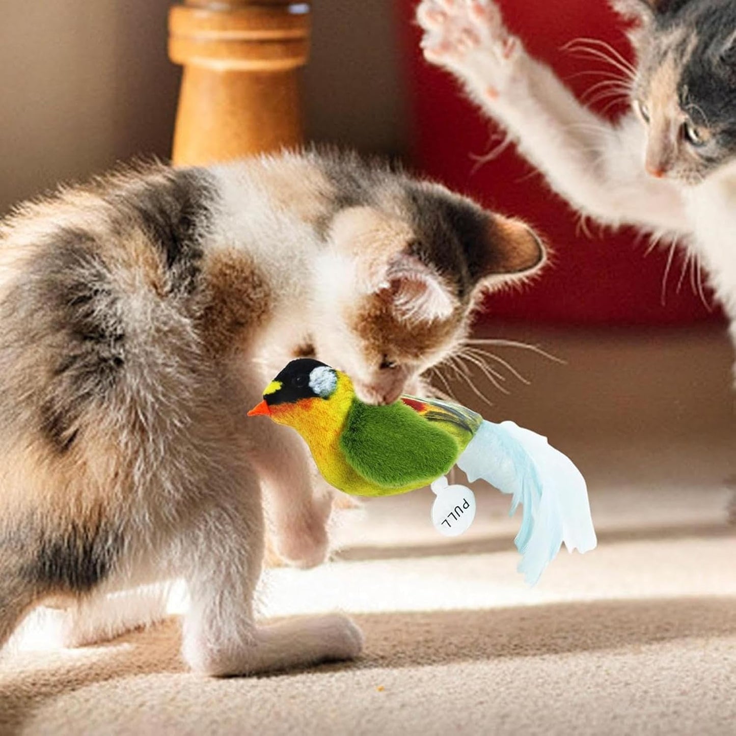 Jouet pour chat en forme d'oiseau coloré avec plumes