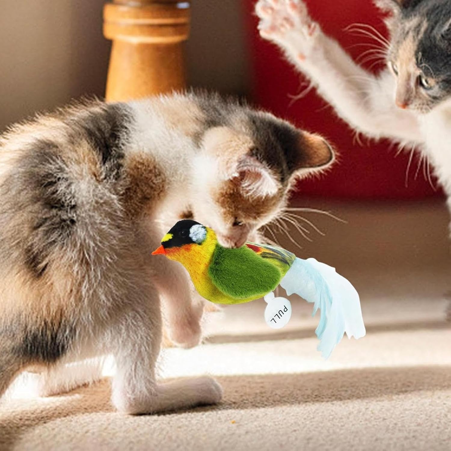 Jouet pour chat en forme d'oiseau coloré avec plumes