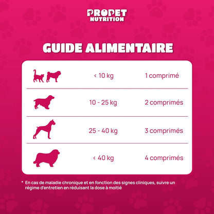 Multivitaminé -  Complément Alimentaire Chien Et Chat