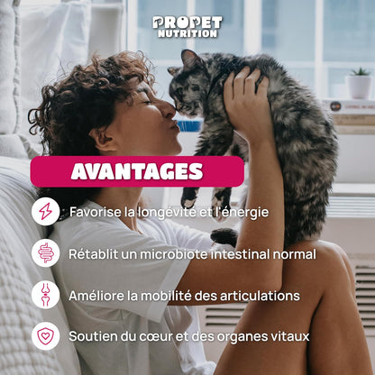 Multivitaminé -  Complément Alimentaire Chien Et Chat