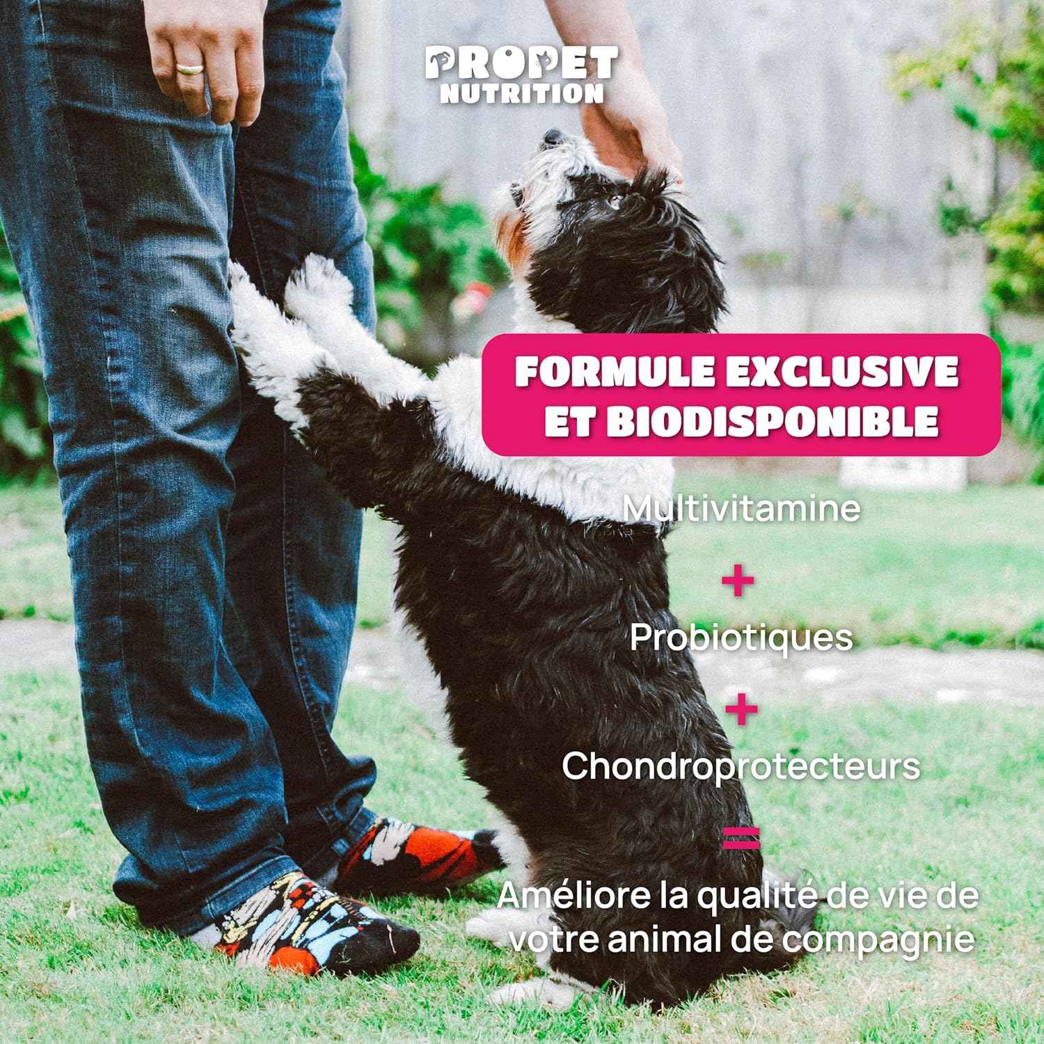 Multivitaminé -  Complément Alimentaire Chien Et Chat