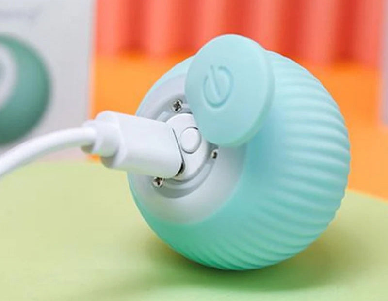 Jouet interactif pour chat, balle rotative rechargeable par USB
