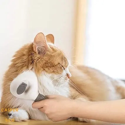 Brosse à poils pour animaux CASPER&CO