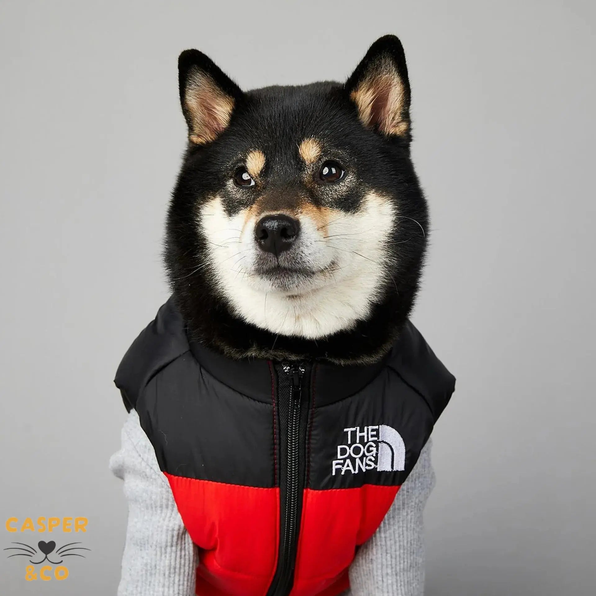 Gilet d'hiver pour chien rembourré