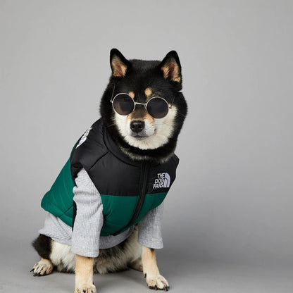 Gilet d'hiver pour chien rembourré