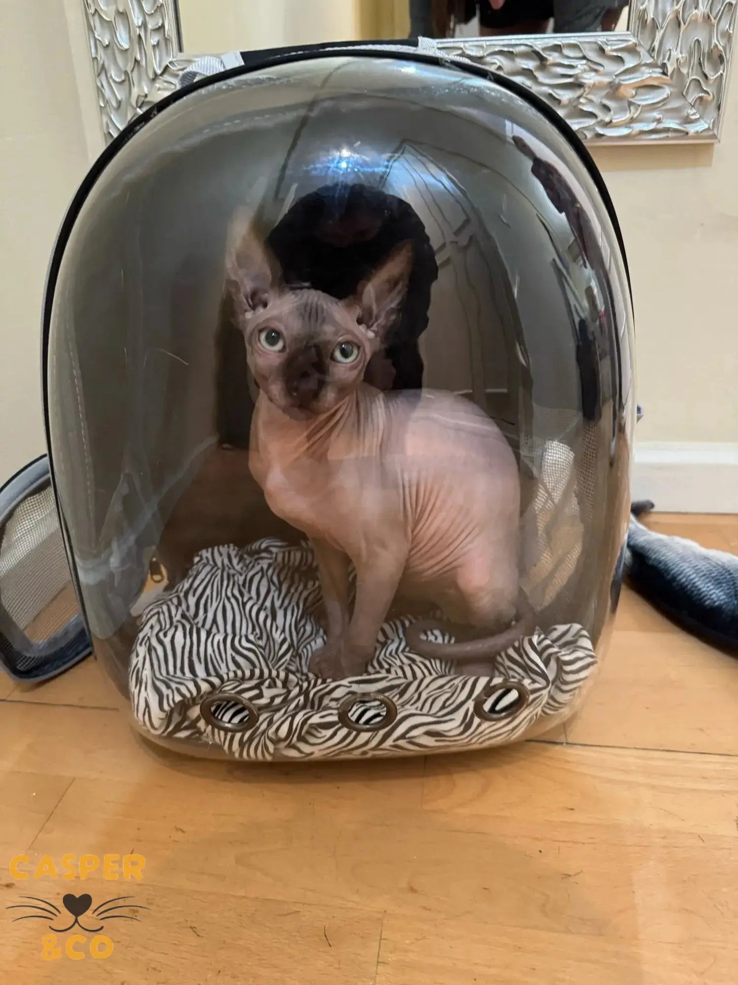 Sac à dos de transport pour chat - Fenêtre panoramique - Ventilation optimale - Confort et sécurité pour voyages - CASPER&CO
