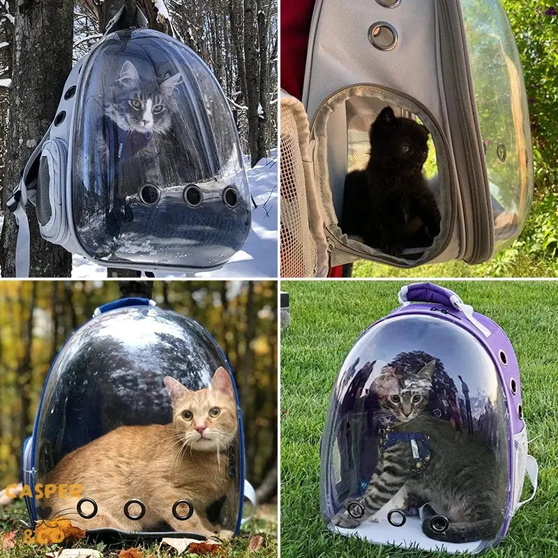 Sac à dos de transport pour chat - Fenêtre panoramique - Ventilation optimale - Confort et sécurité pour voyages - CASPER&CO

