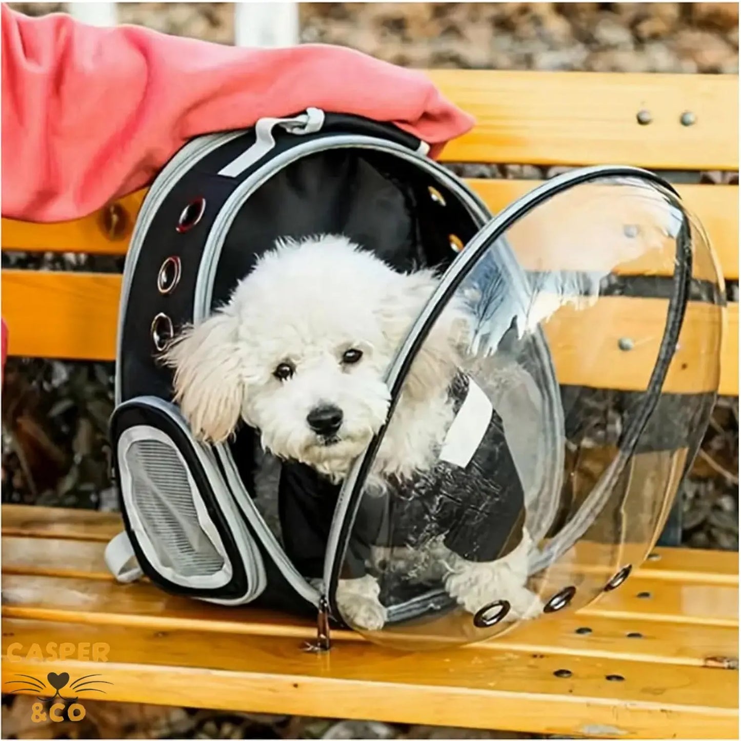 Sac à dos de transport pour chat - Fenêtre panoramique - Ventilation optimale - Confort et sécurité pour voyages - CASPER&CO
