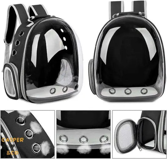 Sac à dos de transport pour chat - Fenêtre panoramique - Ventilation optimale - Confort et sécurité pour voyages - CASPER&CO
