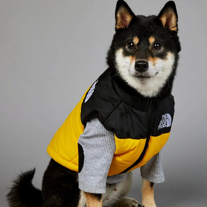 Gilet d'hiver pour chien rembourré