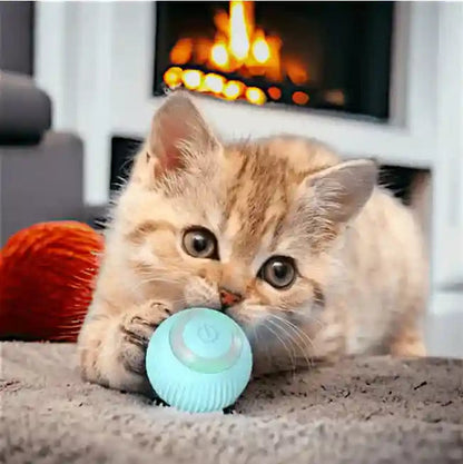 Balle Rotative Électrique pour Chat CASPER&CO