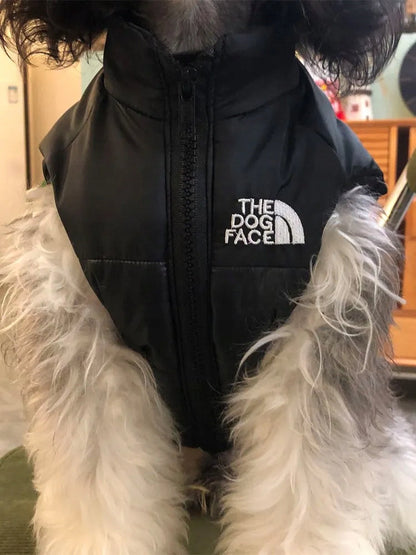 Gilet d'hiver pour chien rembourré CASPER&CO