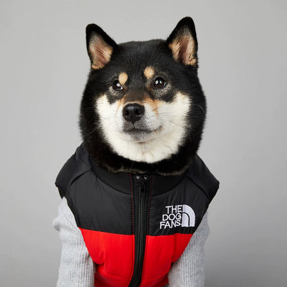 Gilet rembourré pour chien