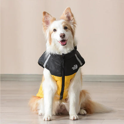 Gilet rembourré pour chien CASPER&CO