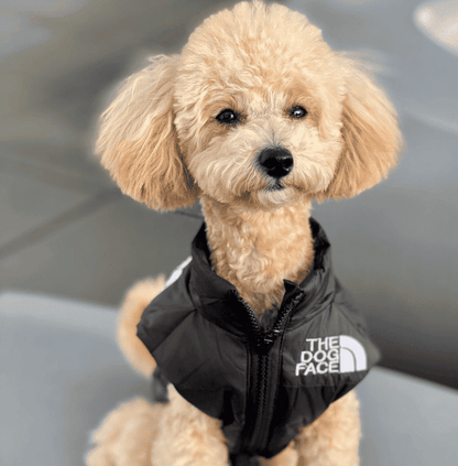 Gilet rembourré pour chien CASPER&CO